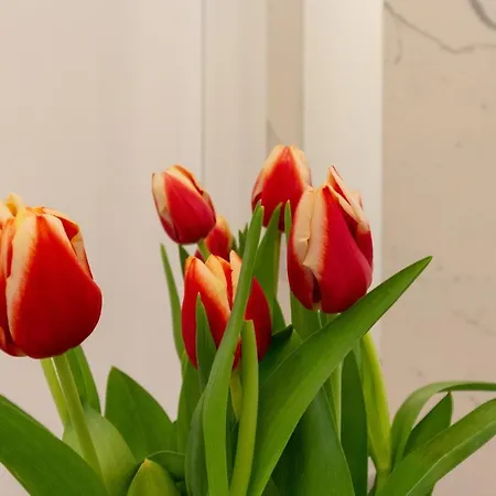 Suite Cagliari Apartman Cagliari